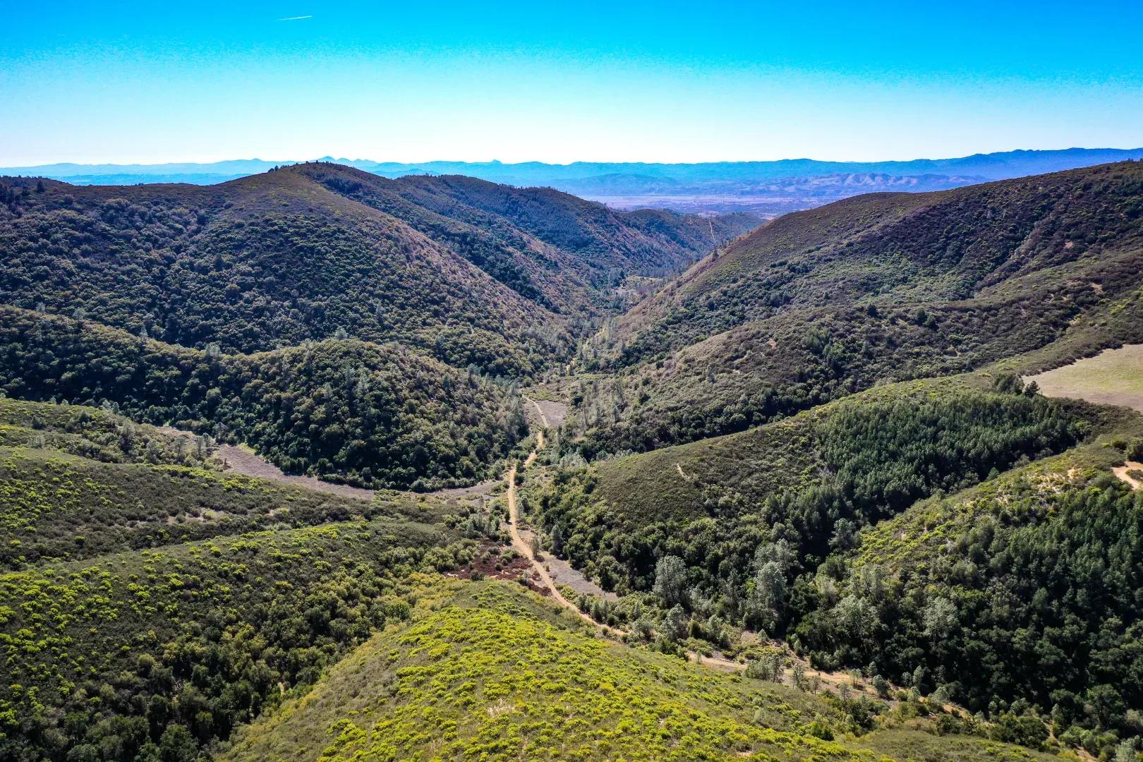 Robinson Canyon Road-13