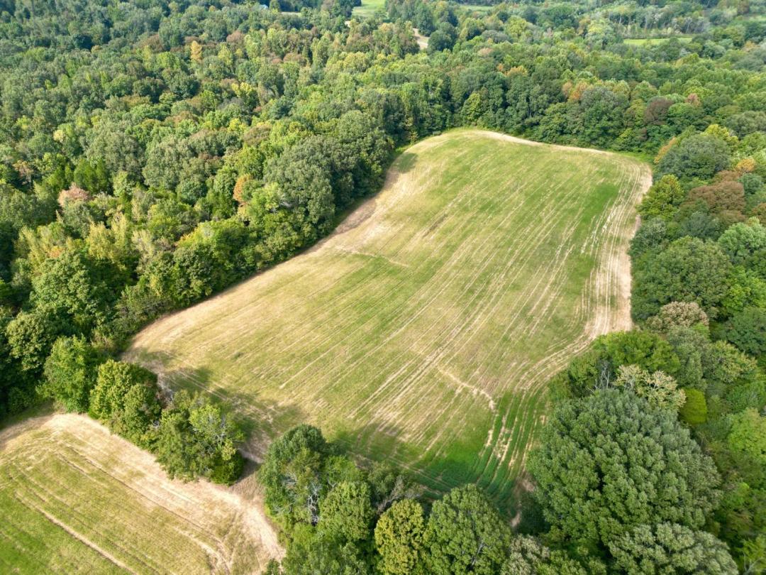Online Auction!! 109 +/- Acres - Prime Hunting Land