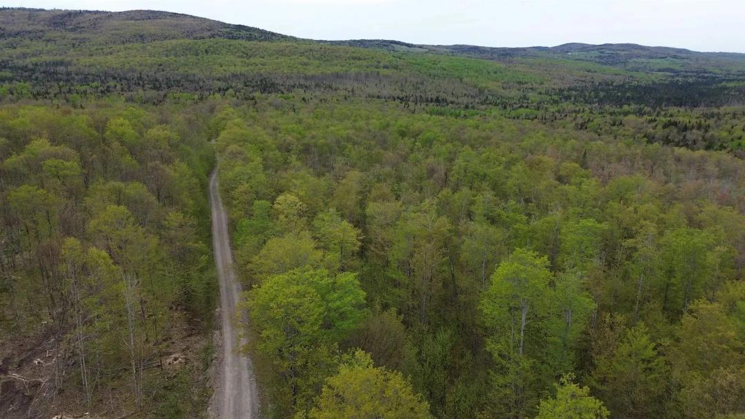 83 Acres of Land for Sale in Stewartstown, NH