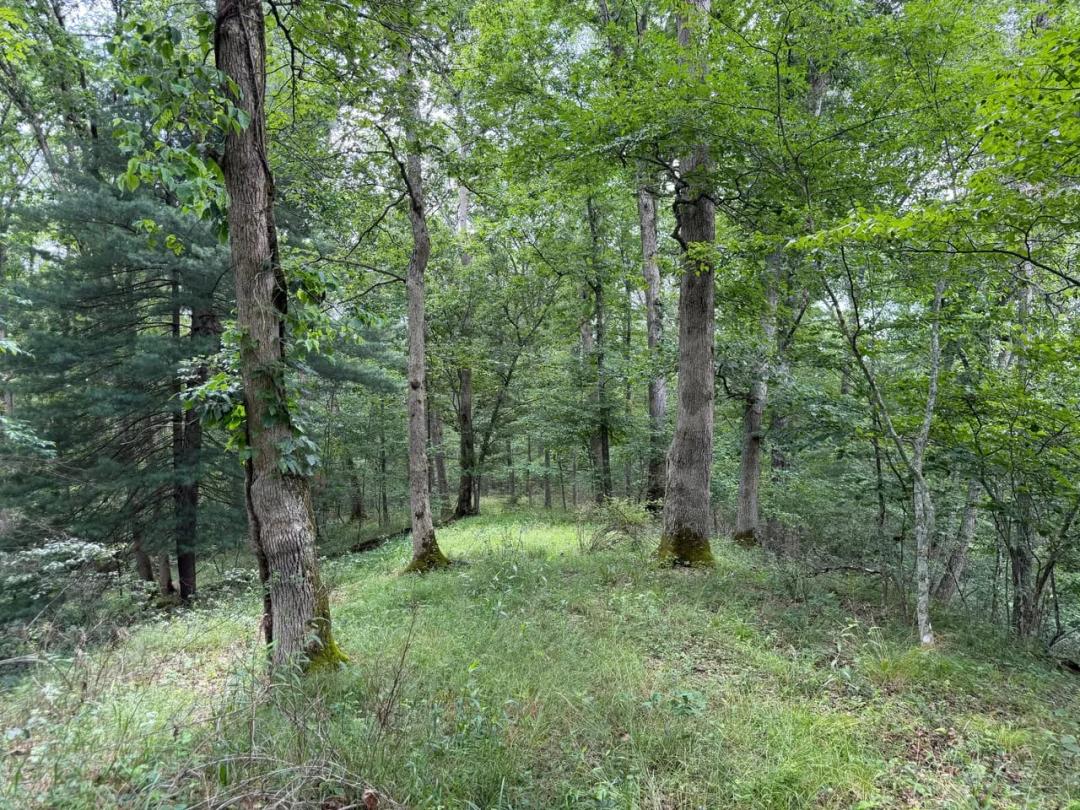 7.59 Acres - Adams County