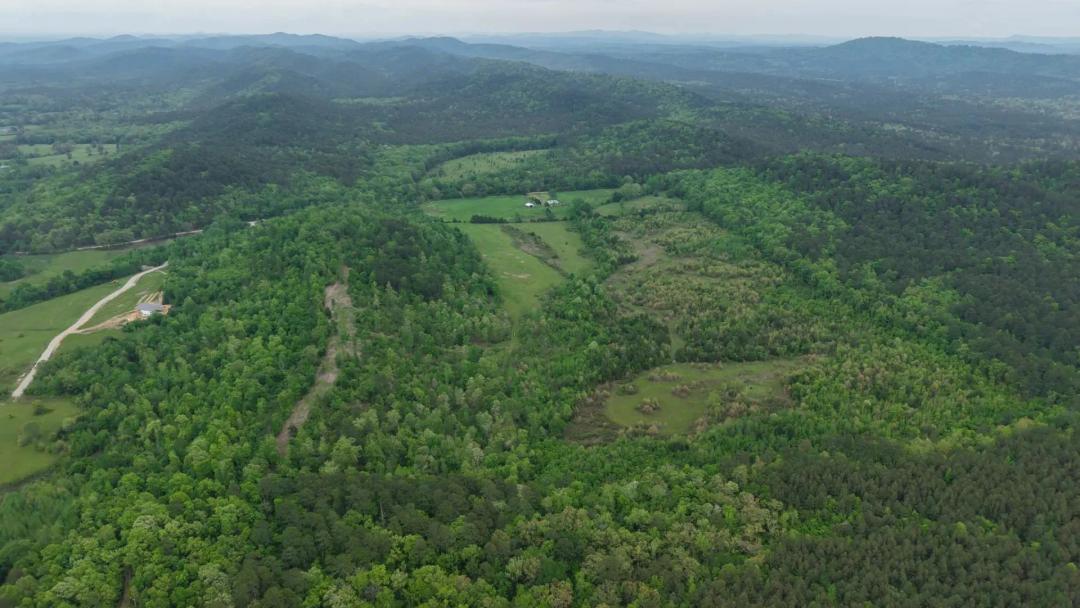 54 Acres in Montgomery County, AR 
