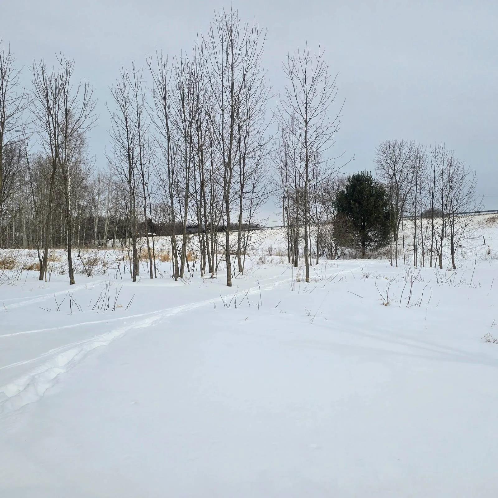 61035727-24