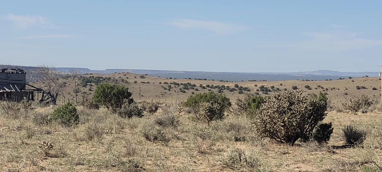61055352-16