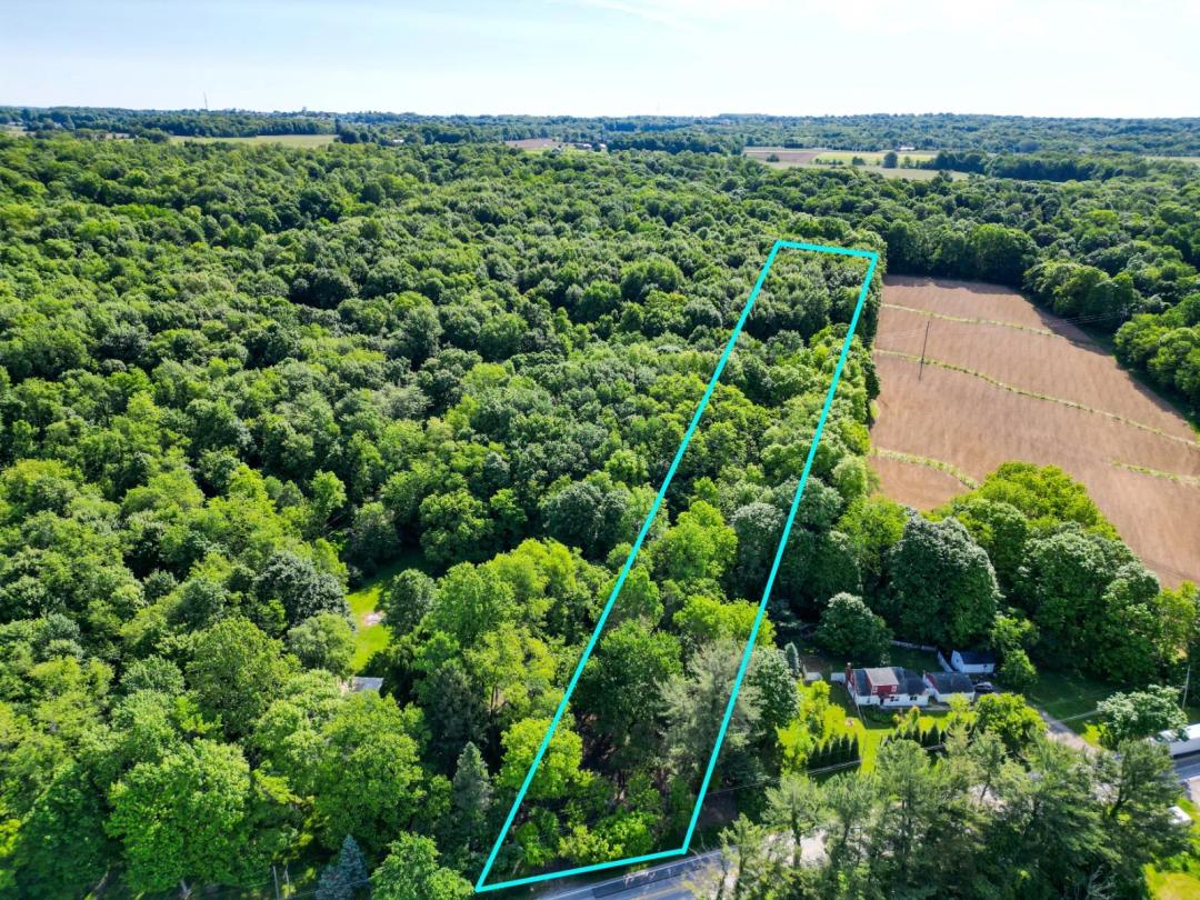 Wadsworth Build Site