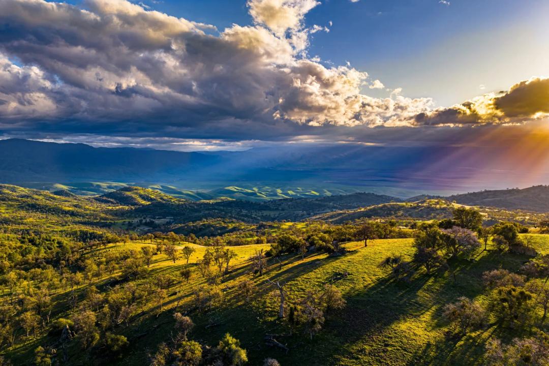 Black Oaks Ranch