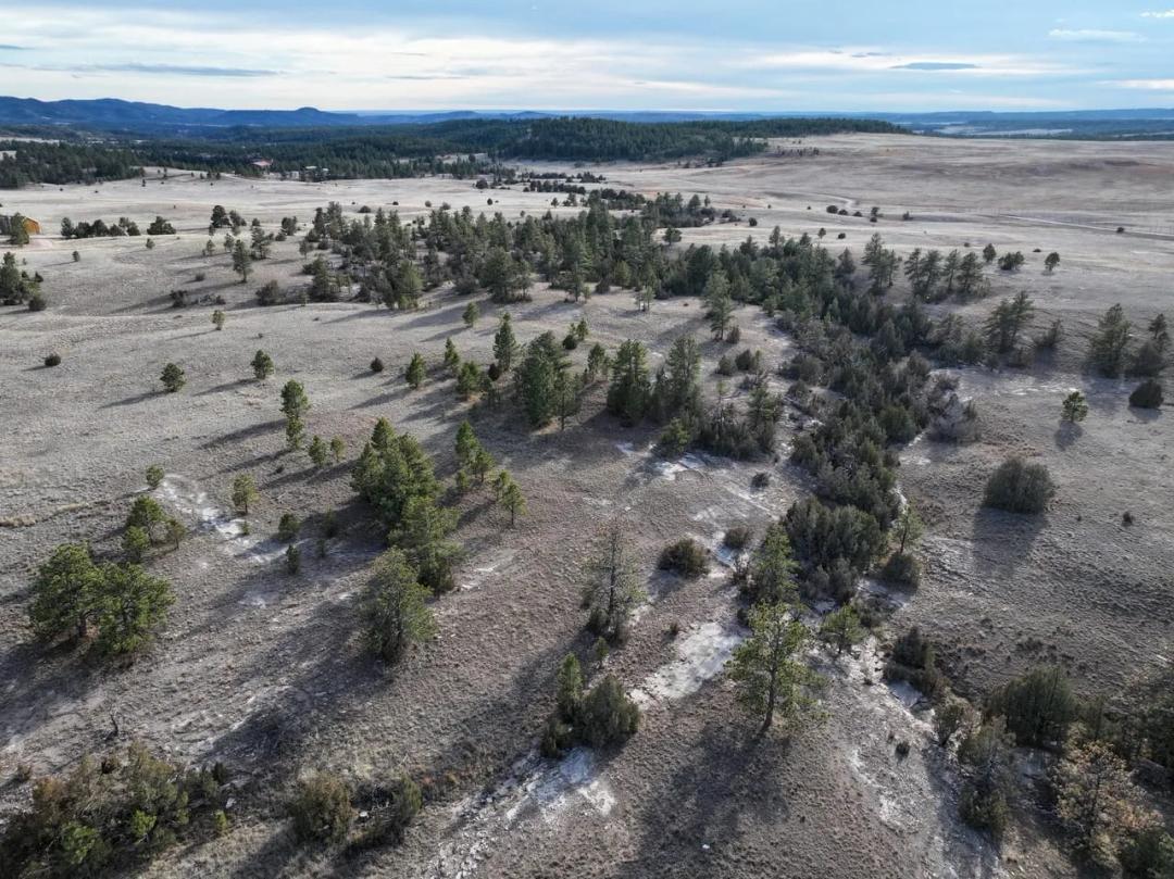 Custer County, SD 50 Acres