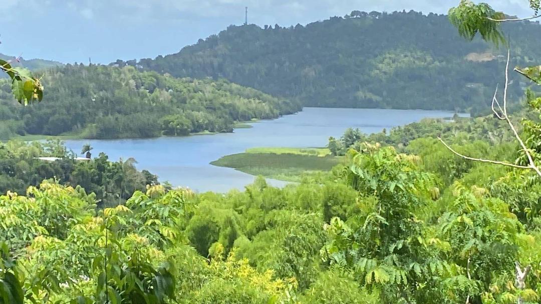 4.08 Acres at KM.HM 4.5 Sec. El Salchicon,Bo. San Antonio