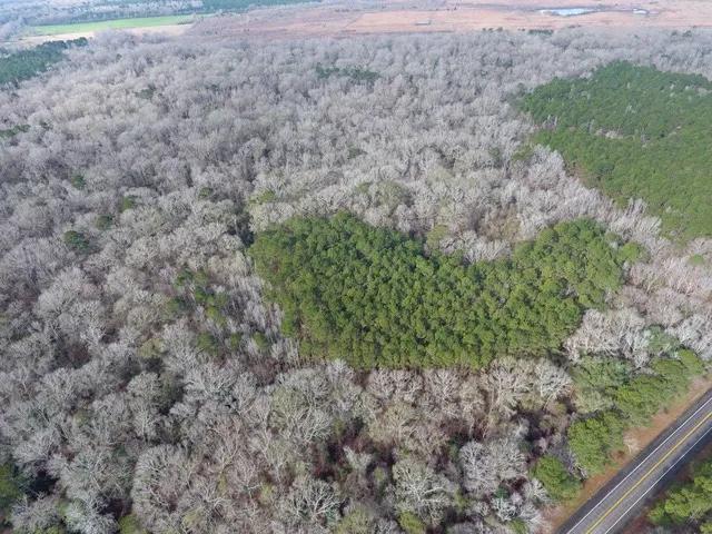 117.00 Acres at 0 HWY 167