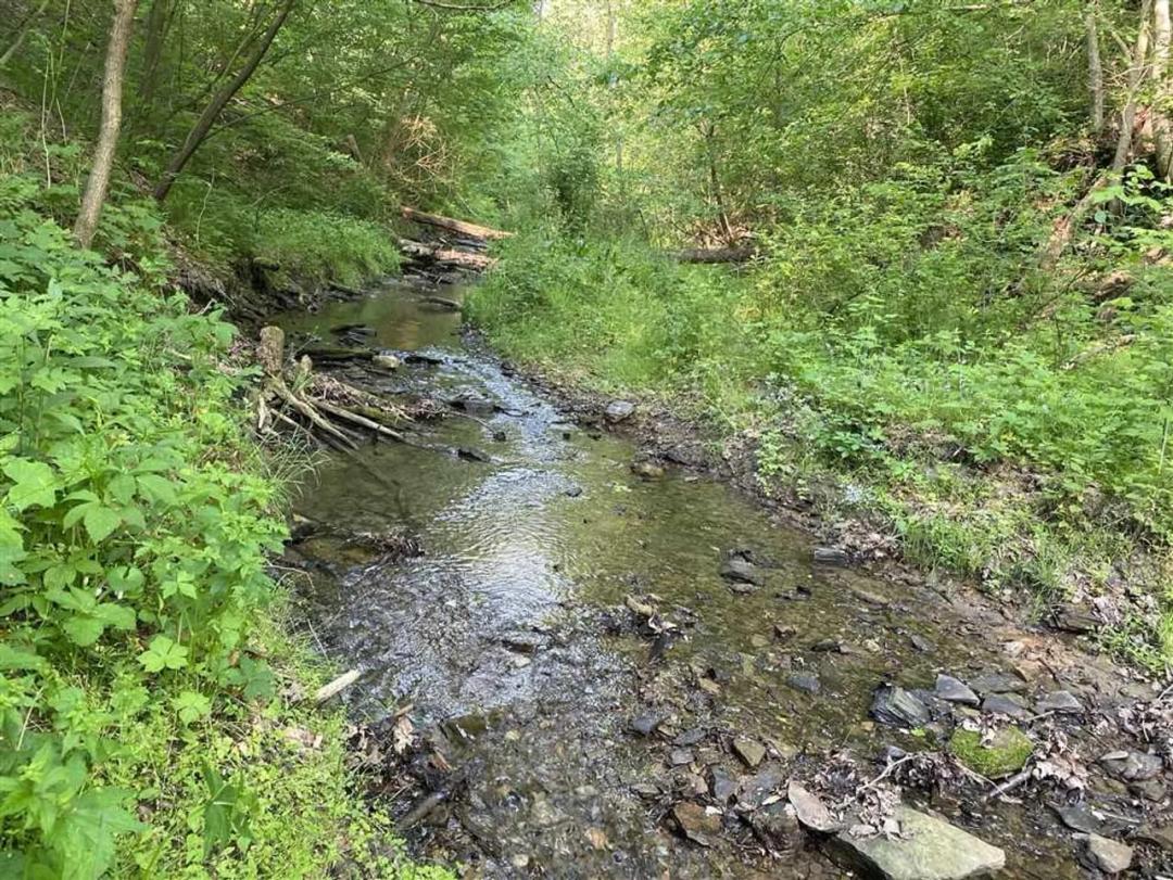 Liberty Ln., Avella Pa - 48 +/- acres
