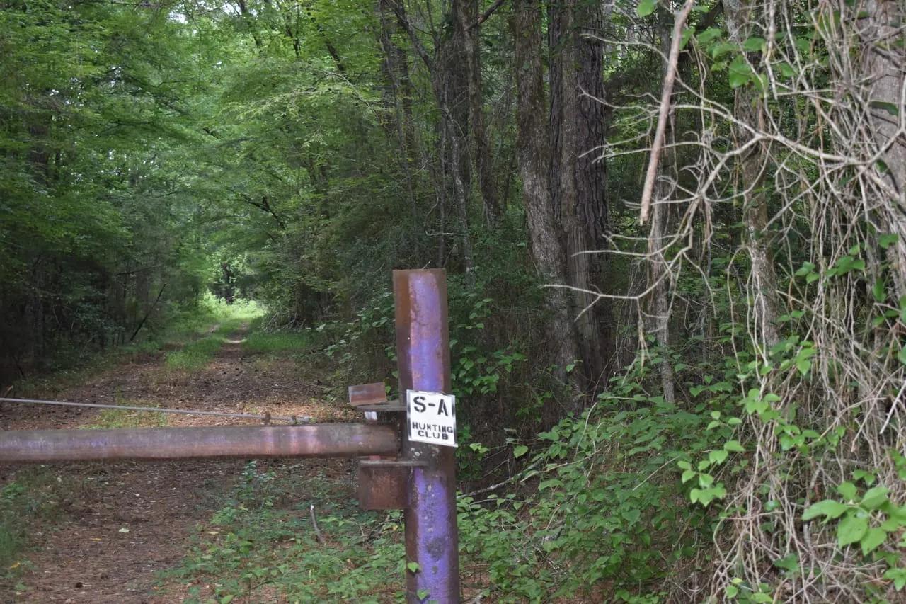 61263540-23