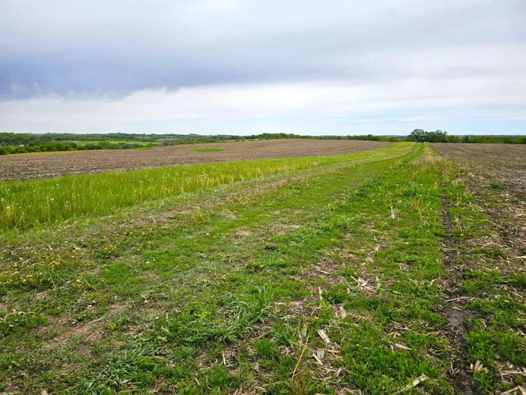 260+/- Acres Winneshiek County, IA