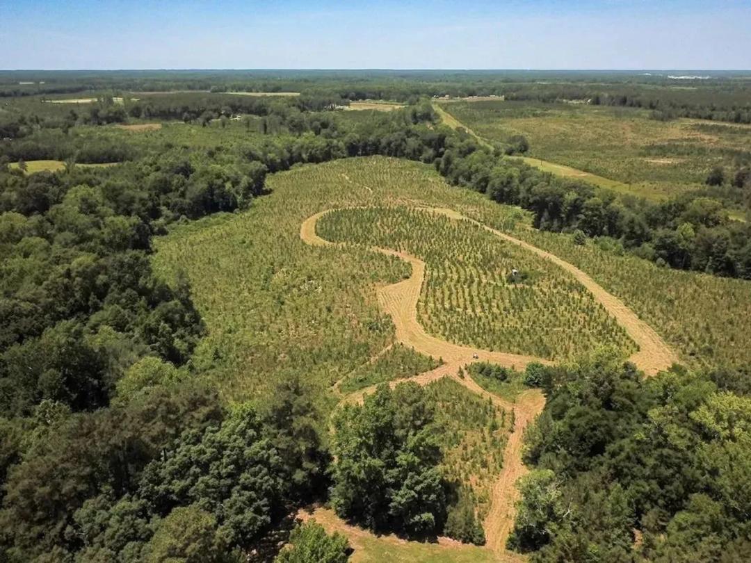 43 Acres of Recreational and Residential Land For Sale in Greensville County VA!