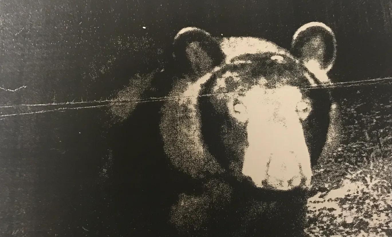 61395347-29