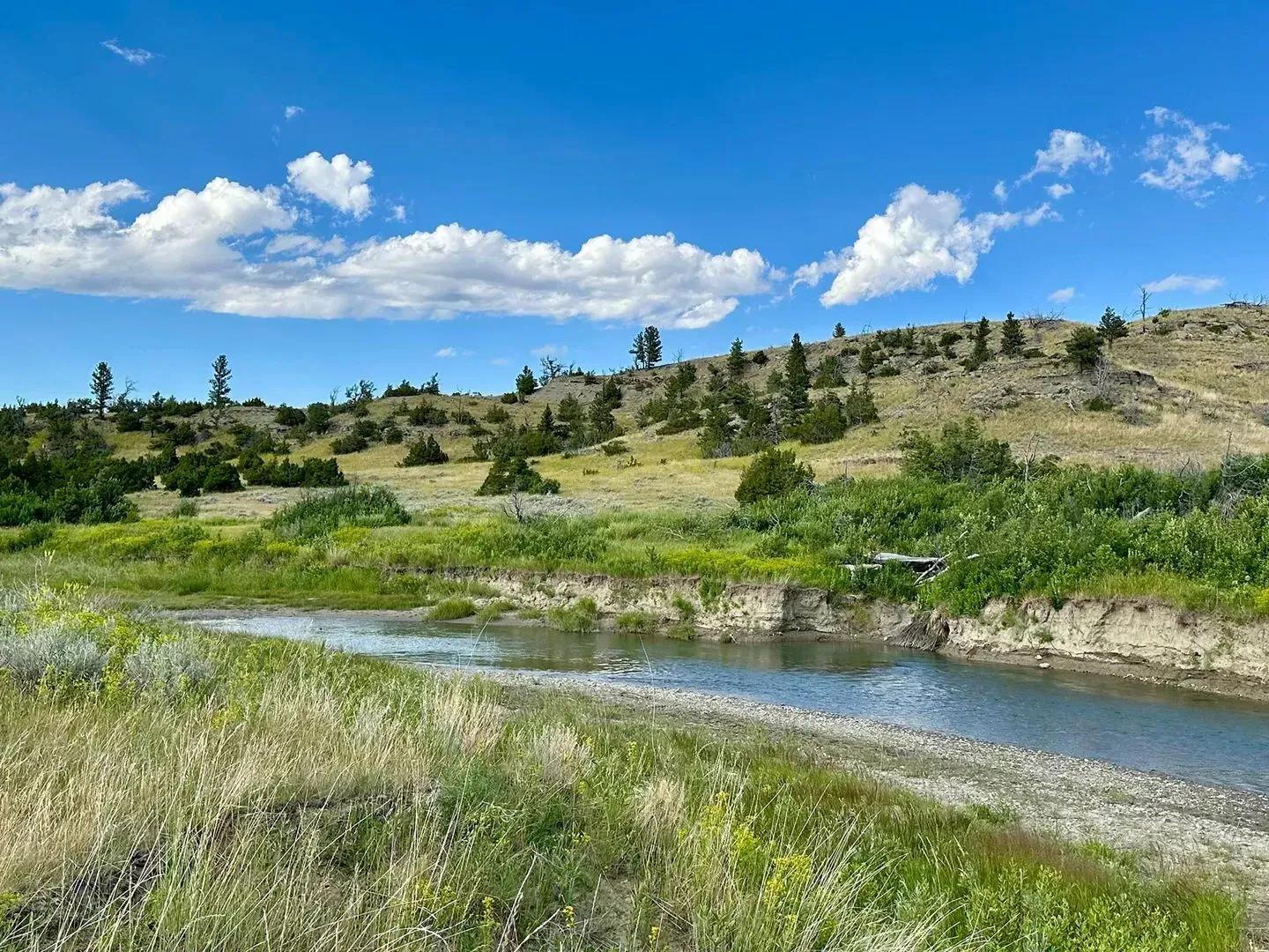 61419632-22