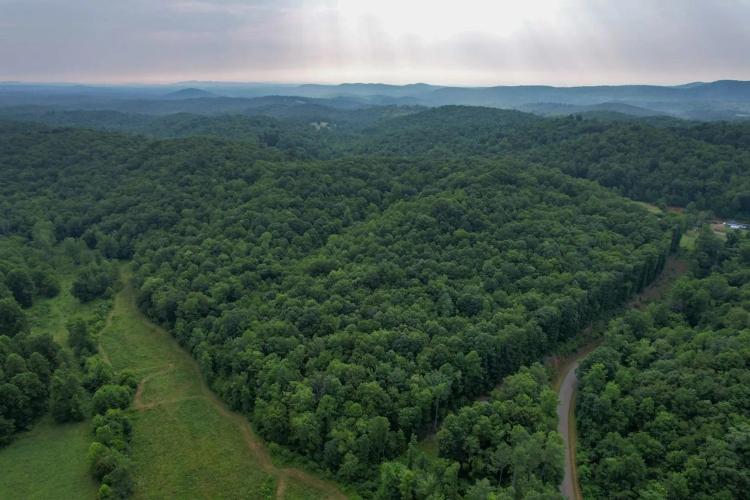 33.6 Acres in Patrick County, Virginia