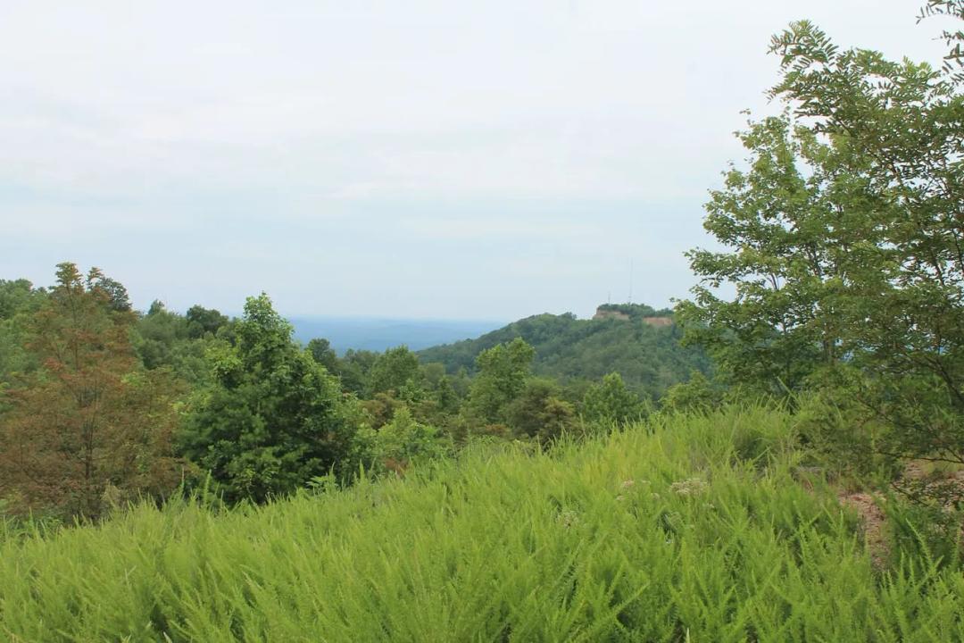 An exceptional opportunity awaits with 1016.06+/-acres of pristine East TN