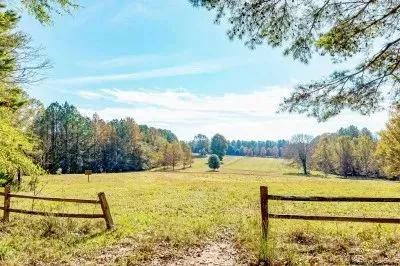Clansy Creek Farm