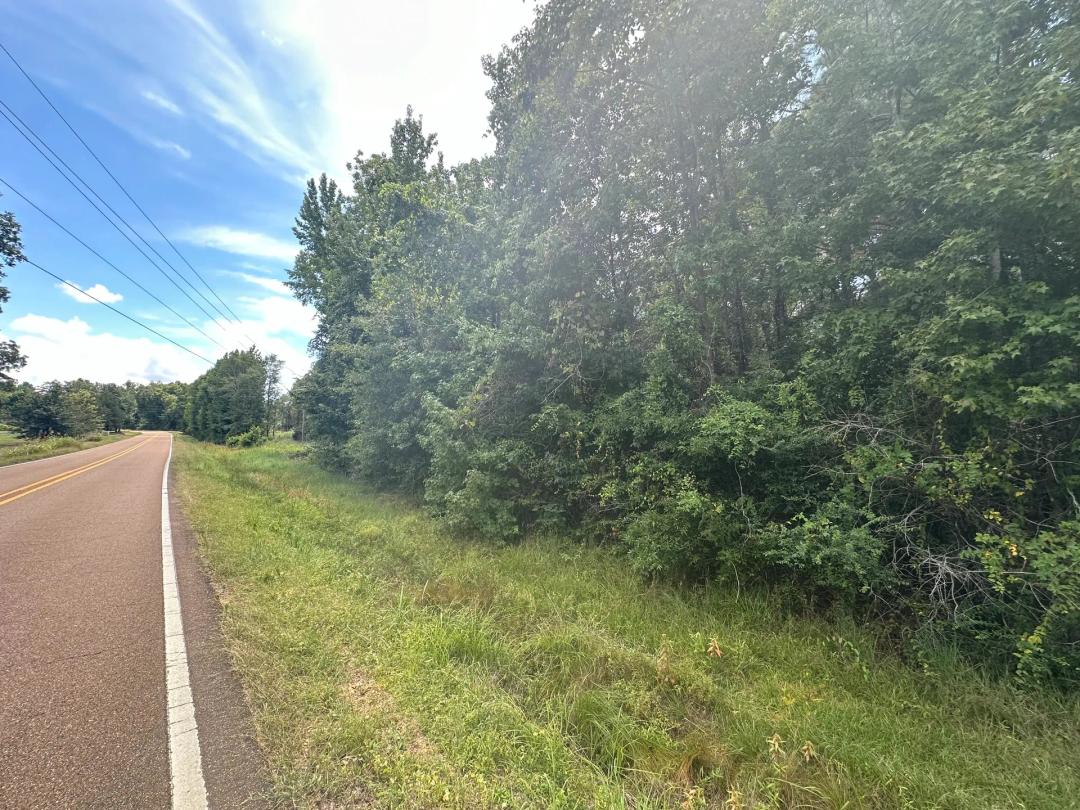 3 Acres in Jefferson County, MS 