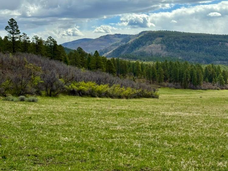 Roaming Elk Ranch