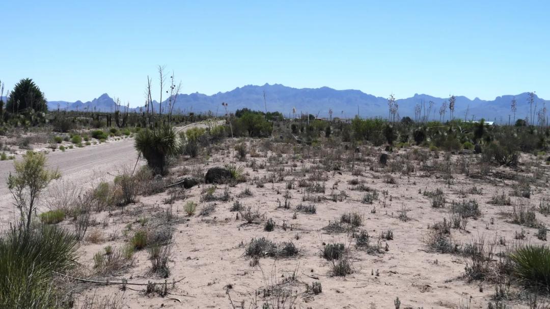 3 adjoining lots 8 miles south of Deming * No restrictions * Mobiles, modulars, site-builds allowed
