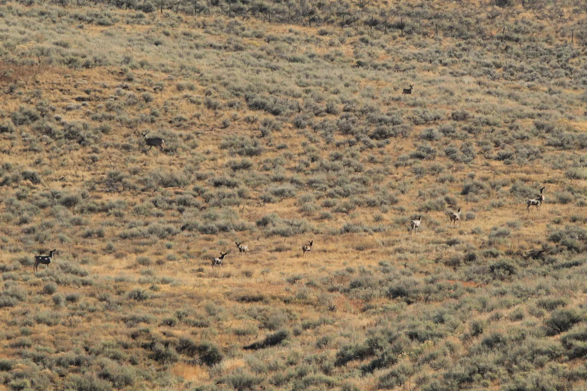61600406-20