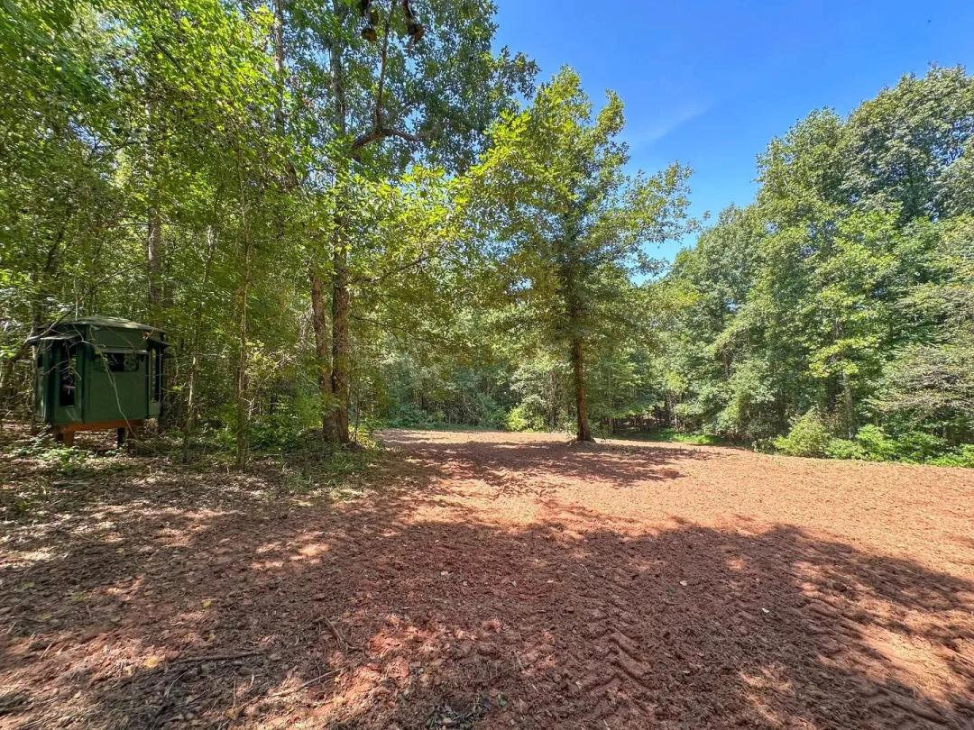 Roxana Recreational Retreat – 107± Acres in Lee County, AL