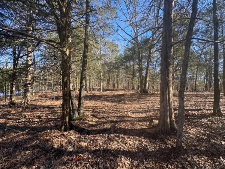 All Wooded Tract With Level County Road Frontage