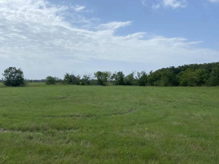 Tract 3 TBD CR 3631 Dike, TX 75437