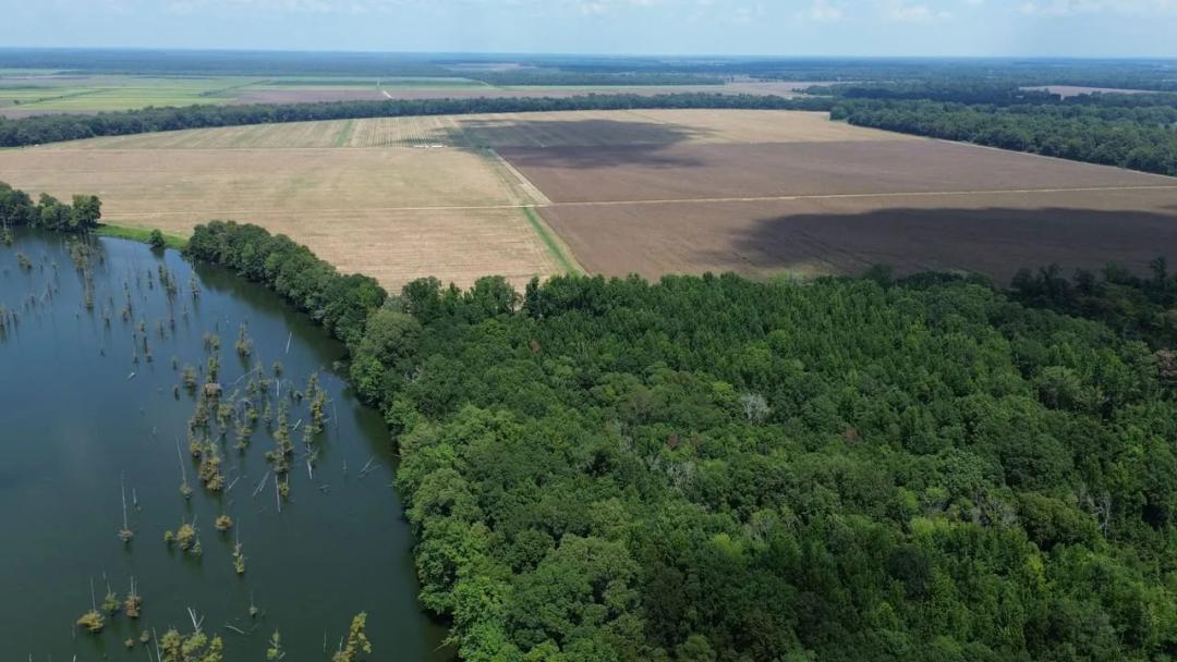 Listing #18560 - 460.00 acres in Morehouse County, LA