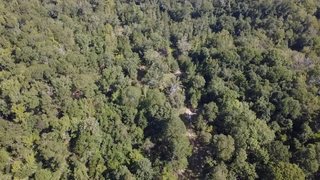 81.42 Acres in Johnson County, GA 