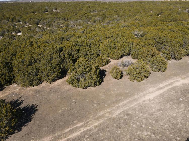 122 Acres CR 105
