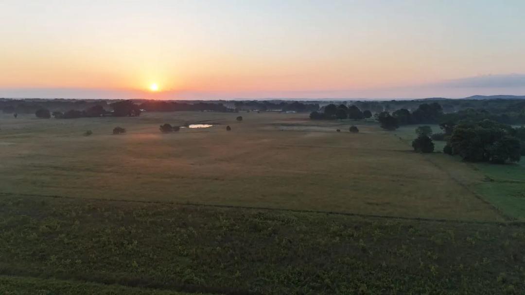 Morgan Co. Alabama 75 acre Established Homestead 