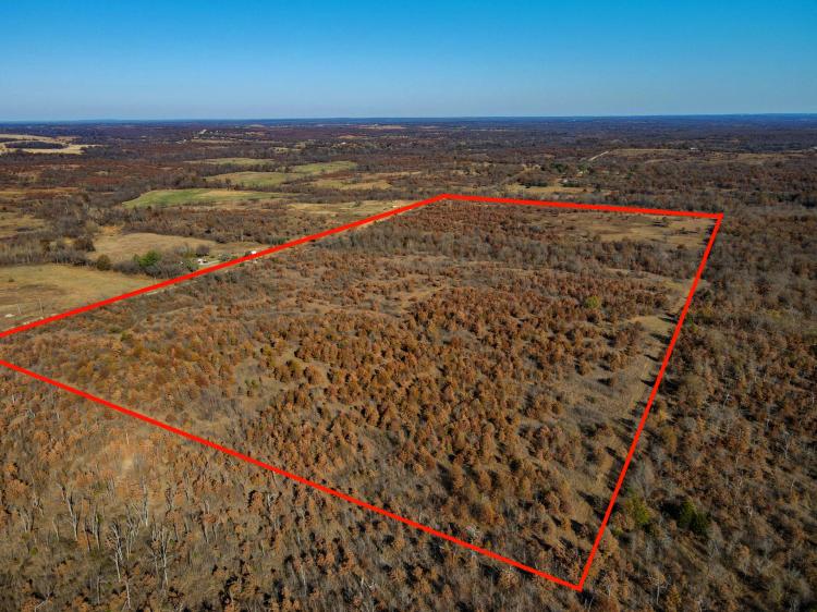 Tremendous Oklahoma Acreage - Great Hunting, Home-Sites, and Recreation