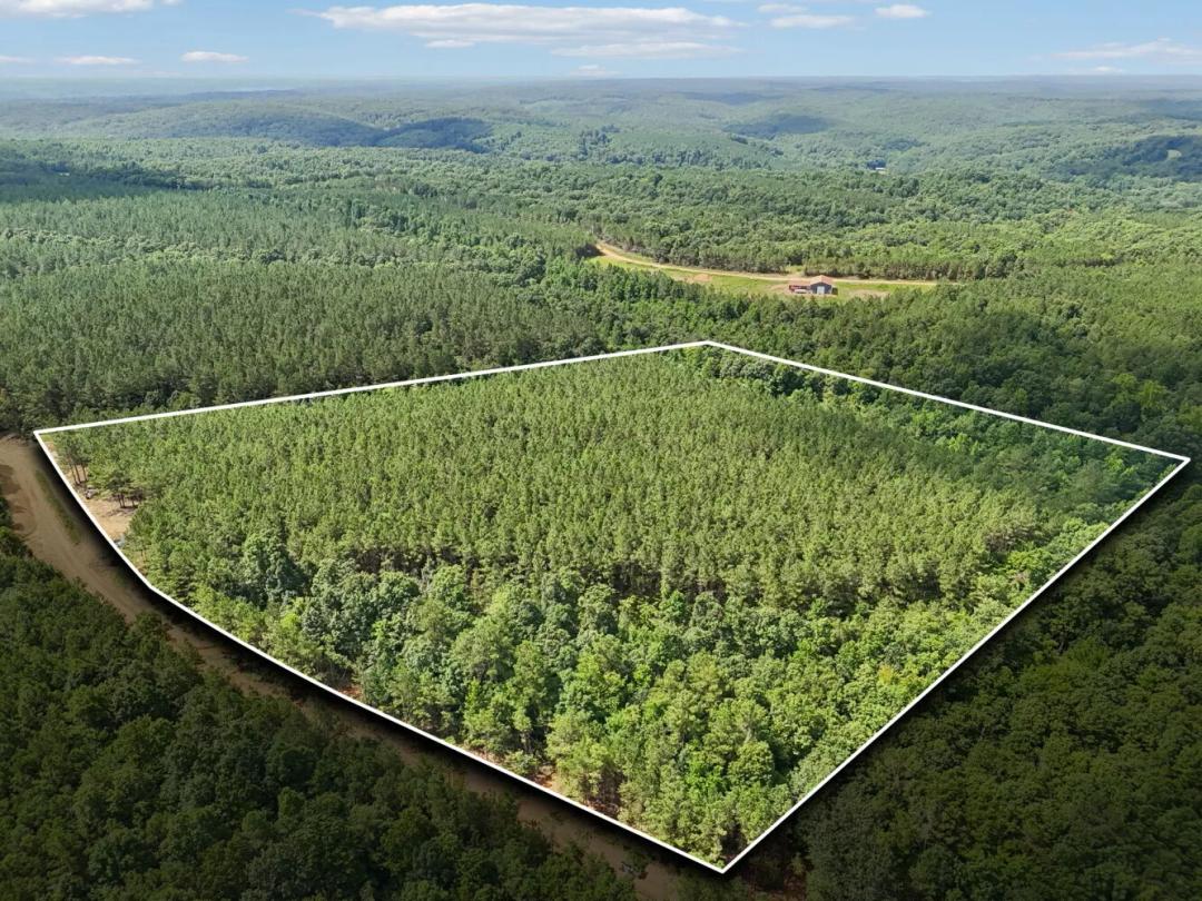 14.35 Acres at 0 Falls Branch Road