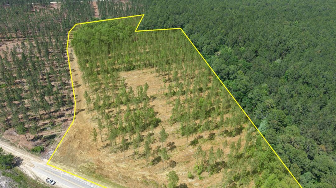 13.60 Acres at 3000 Buck Swamp Road