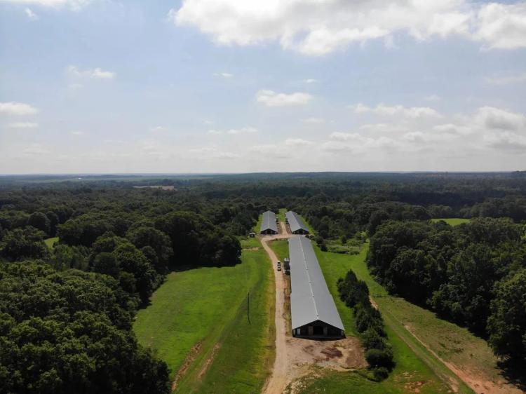 Nimmons Broiler Farm – Three House Farm 50×560 in Oglethorpe County, Georgia