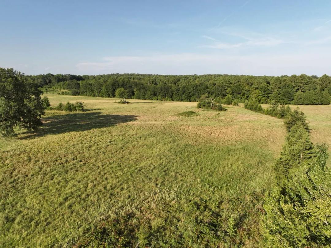 Beautiful 49 acres near Kiamich RIver,pasture land, spring fed creek in Choctaw Co. 