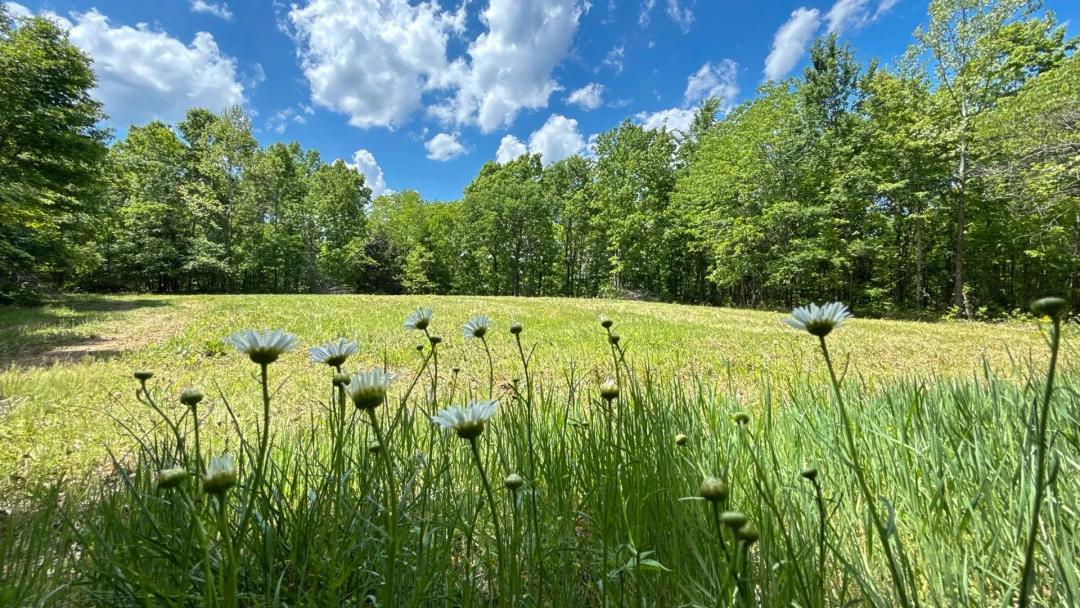 38± Acres | Hickman County, Tennessee