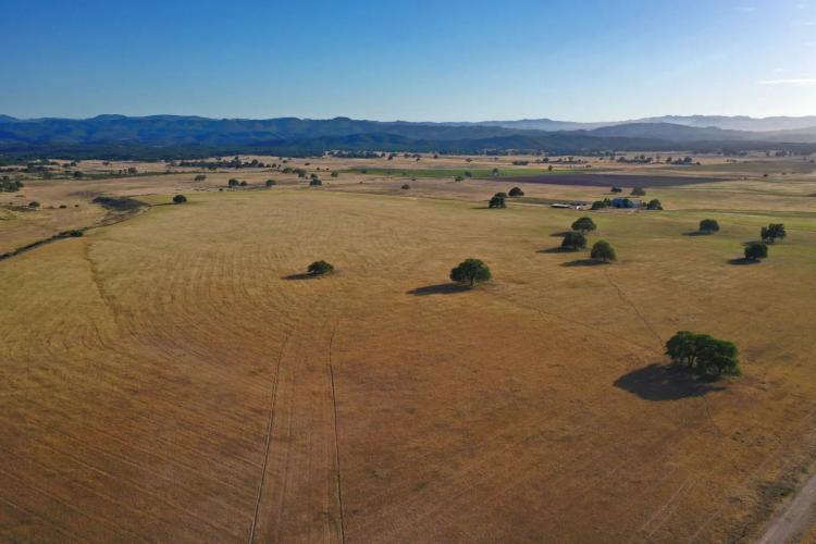 Beautiful, Gently Rolling 80 acres