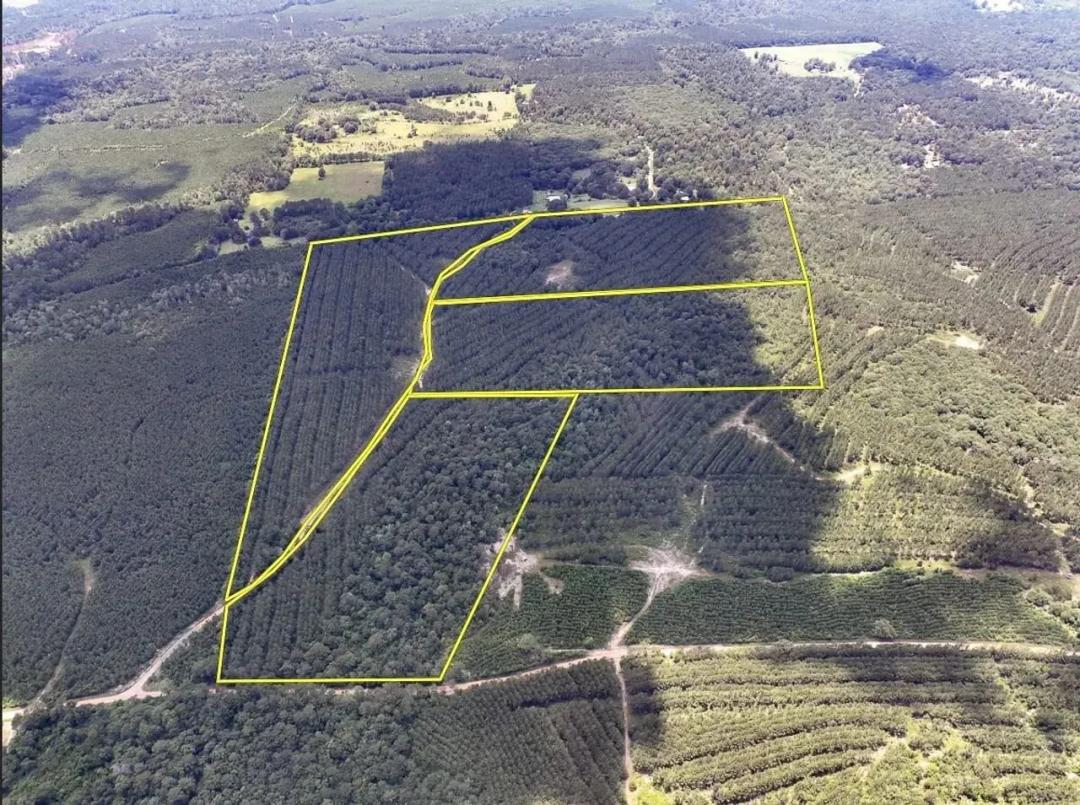 29 Acres | CR 1425 | T-13