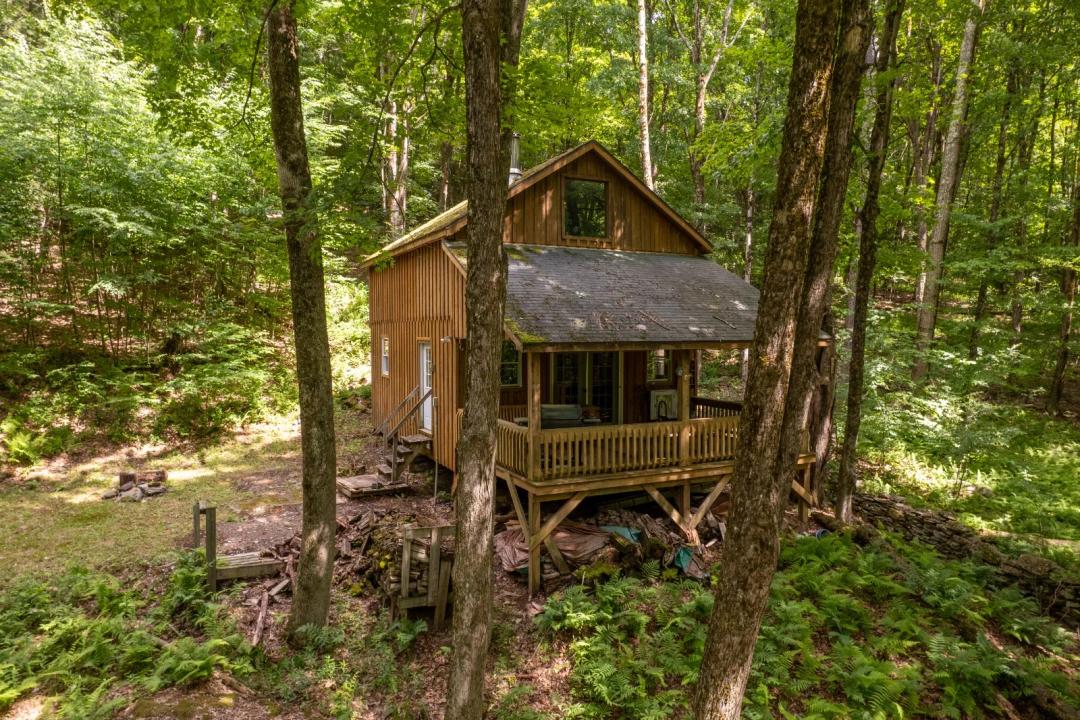 Cabin in the Woods - Downsville, NY