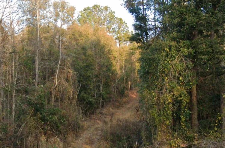 10.00 Acres at 1587 GA HWY 23  S