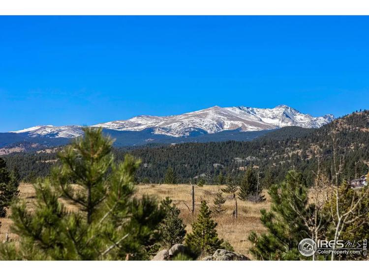 Hard to Find, Flat, Buildable 1.99 acres Mountain Lot in Beautiful Boulder County, CO