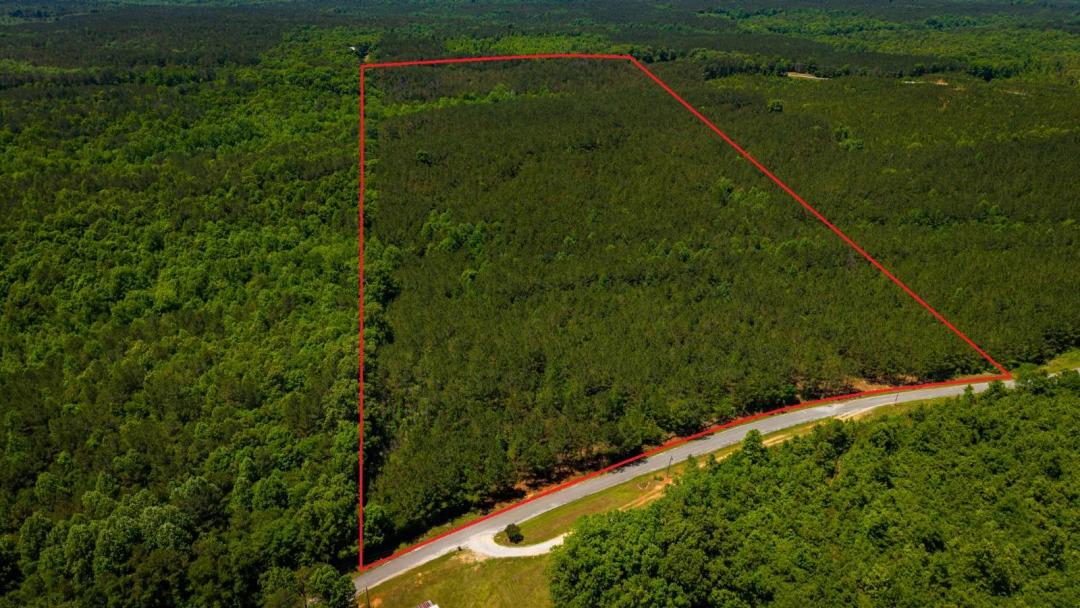 56.02 Acres at 0 John Rankin Hwy