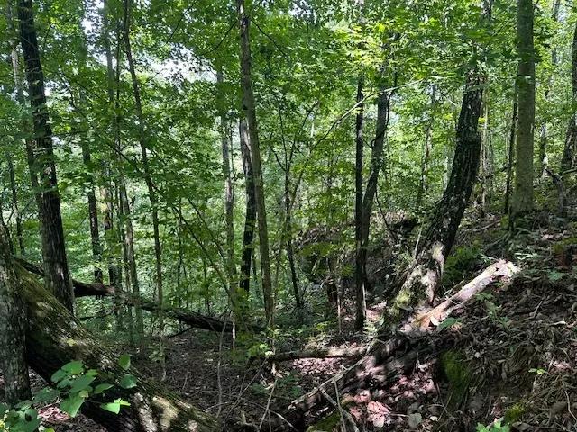 Lot 89 Bobcat Ln