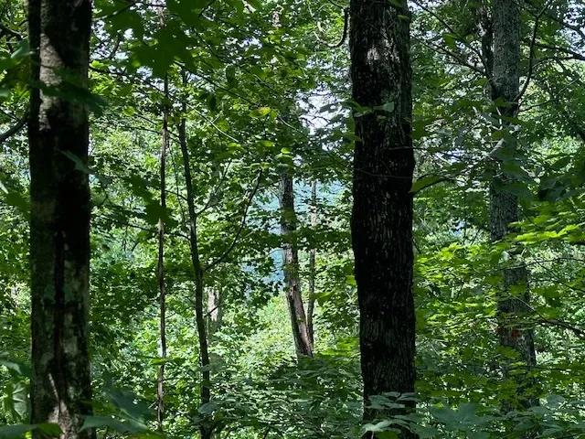 Lot 89 Bobcat Ln