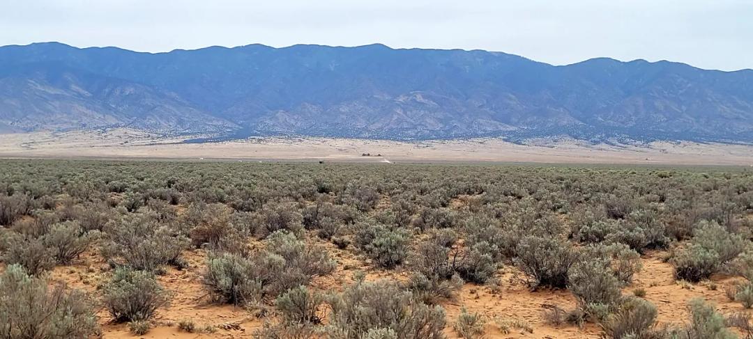 2 Adjoining Lots. 40 Miles South of Albuquerque * Mobiles and Modulars Allowed
