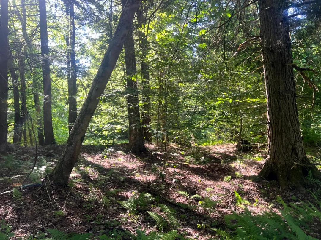 Highpoint Trail