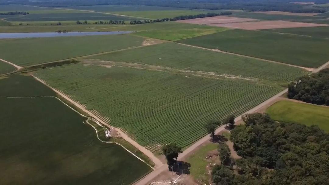60.00 Acres at 531 DIAL CREEK RD