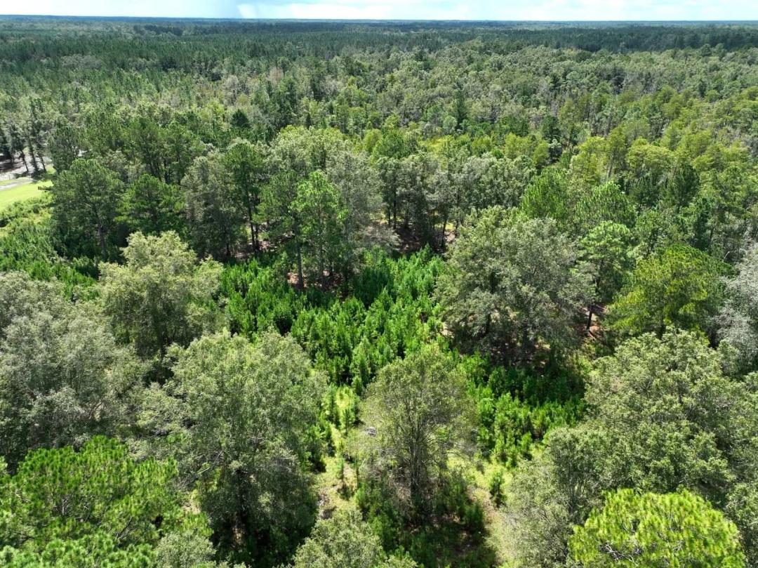 16.5+/- Ac Land for Sale in Glynn County, Ga